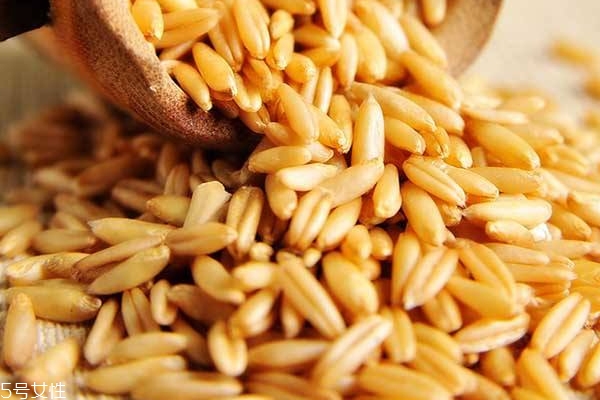 燕麥護膚品對皮膚好嗎 燕麥護膚品有哪些