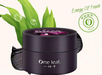 一葉子黑泥面膜好用嗎 一葉子植物酵素黑泥面膜價格 一葉子黑泥面膜好用嗎 一葉子植物酵素黑泥面膜價格