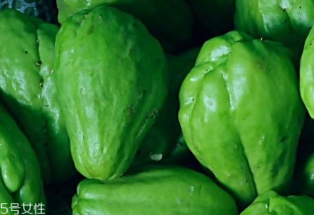 佛手瓜什么時(shí)候上市 佛手瓜什么季節(jié)成熟 佛手瓜什么時(shí)候上市 佛手瓜什么季節(jié)成熟