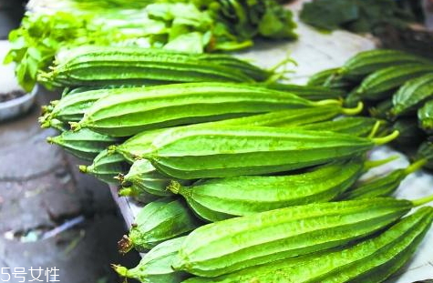 八棱瓜的種植時間季節(jié) 八棱瓜怎么種植 八棱瓜的種植時間季節(jié) 八棱瓜怎么種植