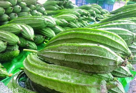 八棱瓜的種植時間季節(jié) 八棱瓜怎么種植 八棱瓜的種植時間季節(jié) 八棱瓜怎么種植