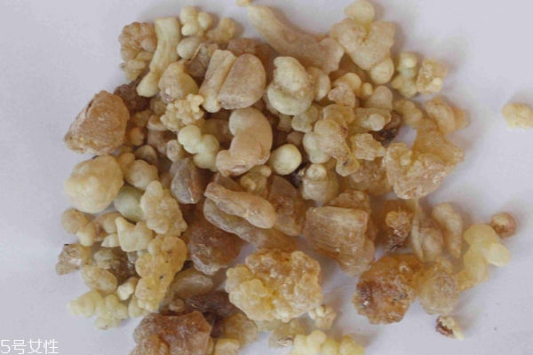 乳香純露什么味道 乳香純露苦不苦 乳香純露什么味道 乳香純露苦不苦