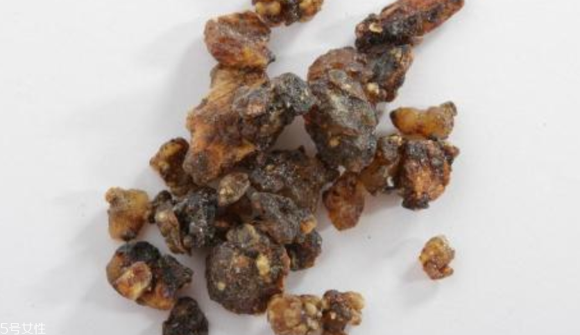 乳香純露什么味道 乳香純露苦不苦 乳香純露什么味道 乳香純露苦不苦