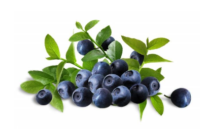 花青素能祛斑嗎？花青素對斑有用嗎？