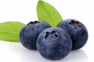 花青素是雌激素嗎？花青素是什么？