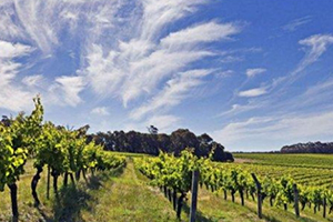 lellure是什么牌子？lellure是哪國的？