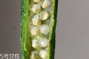 秋葵干好吃嗎？秋葵干怎么吃？