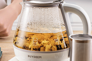 北鼎是哪個國家的品牌？北鼎是什么牌子