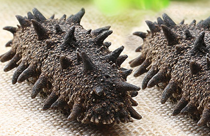 海參會(huì)過(guò)期嗎？海參的保質(zhì)期