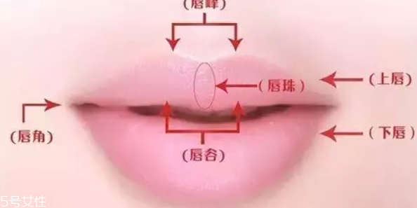 2018流行什么唇形 2018流行唇形盤點 2018流行什么唇形 2018流行唇形盤點