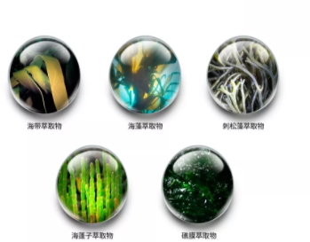 jm防曬噴霧什么味道？jmsolution防曬噴霧好聞嗎？