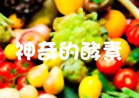 酵素減肥真都有用嗎 酵素減肥多久見(jiàn)效 酵素減肥真都有用嗎 酵素減肥多久見(jiàn)效