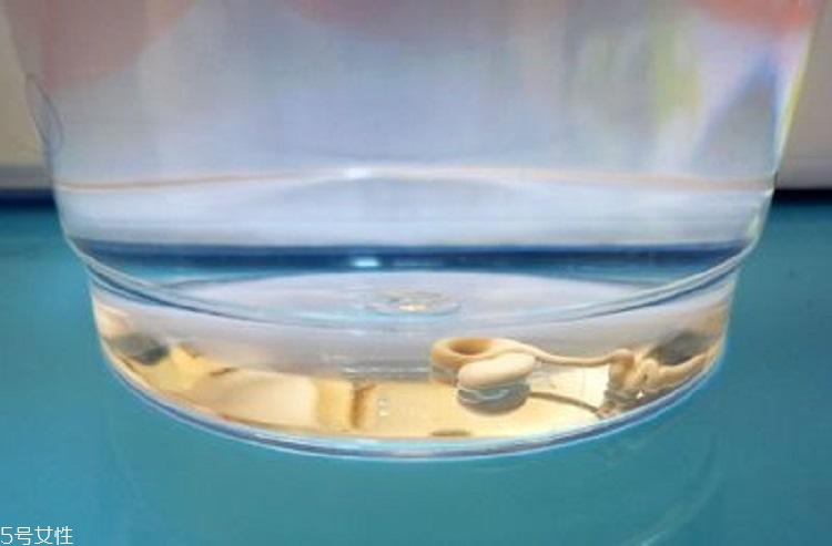 隔離霜怎么檢測(cè)重金屬 隔離霜鉛汞鑒別方法 隔離霜怎么檢測(cè)重金屬 隔離霜鉛汞鑒別方法