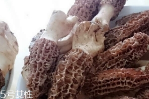 羊肚菌是什么東西？羊肚菌能吃嗎？