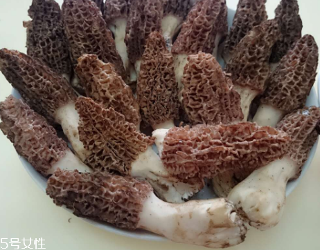 羊肚菌是什么東西？羊肚菌能吃嗎？