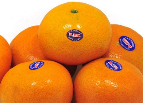 澳柑什么時(shí)候上市 澳柑成熟時(shí)間 澳柑什么時(shí)候上市 澳柑成熟時(shí)間