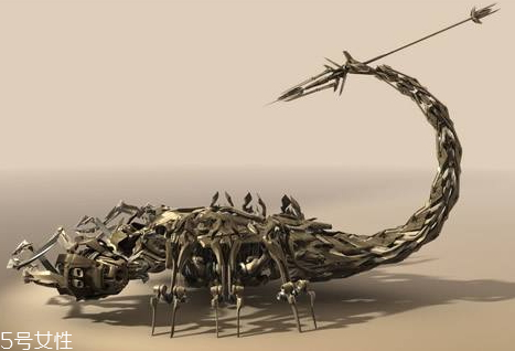 蝎子多少錢一斤2018 蝎子的藥用價(jià)值 蝎子多少錢一斤2018 蝎子的藥用價(jià)值