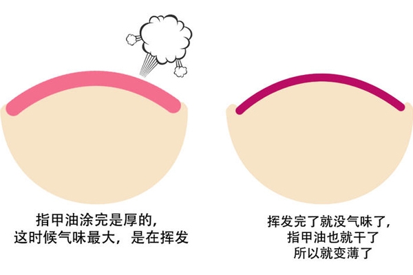 指甲油為什么干得慢掉得快 指甲油涂抹知識(shí)大全 指甲油為什么干得慢掉得快 指甲油涂抹知識(shí)大全