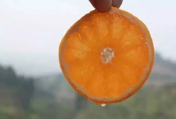 青見柑橘上火嗎？青見柑橘一天吃幾個好