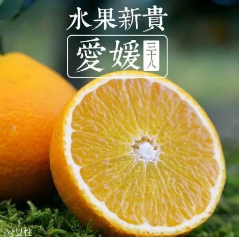 愛(ài)媛38號(hào)多少錢(qián)一斤？愛(ài)媛38號(hào)柑桔市場(chǎng)行情