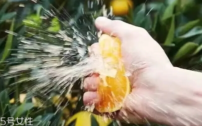 愛媛38號(hào)上市時(shí)間？愛媛38號(hào)什么時(shí)候成熟