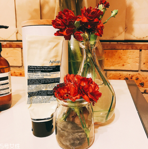 aesop伊索純凈無泡洗面奶怎么樣 伊索無泡潔面乳價格 aesop伊索純凈無泡洗面奶怎么樣 伊索無泡潔面乳價格