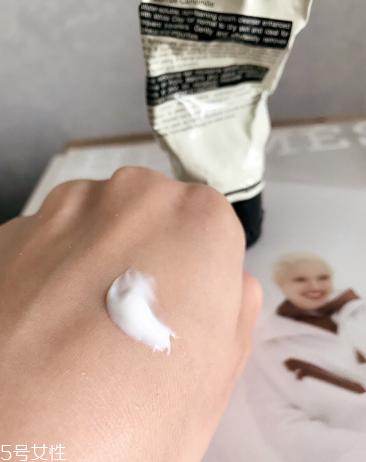 aesop伊索純凈無泡洗面奶怎么樣 伊索無泡潔面乳價格 aesop伊索純凈無泡洗面奶怎么樣 伊索無泡潔面乳價格