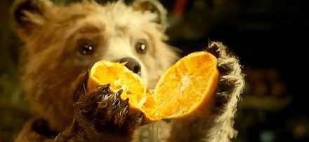 倫晚臍橙和夏橙哪個好？倫晚臍橙和其他橙子的區(qū)別