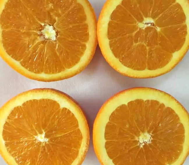 倫晚臍橙和夏橙哪個好？倫晚臍橙和其他橙子的區(qū)別