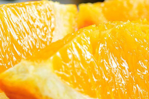 倫晚臍橙和夏橙哪個好？倫晚臍橙和其他橙子的區(qū)別