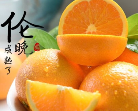 倫晚臍橙和夏橙哪個好？倫晚臍橙和其他橙子的區(qū)別