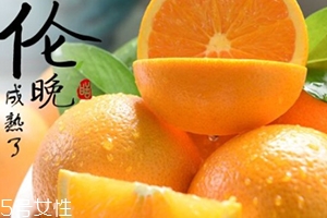 倫晚臍橙口感是酸的還是甜的？倫晚臍橙好吃嗎