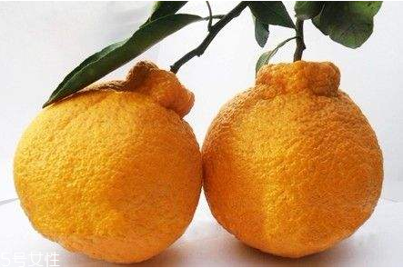 吃丑柑會(huì)上火嗎 吃丑柑為什么不上火 吃丑柑會(huì)上火嗎 吃丑柑為什么不上火