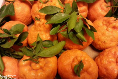 丑柑怎么保存 新鮮的丑柑可以放多久 丑柑怎么保存 新鮮的丑柑可以放多久