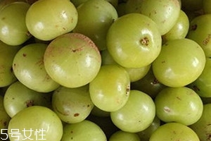 油柑孕婦可以吃嗎 油柑怎么吃 油柑孕婦可以吃嗎 油柑怎么吃