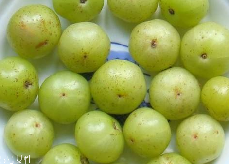 油柑怎么泡酒 油柑酒的功效與作用 油柑怎么泡酒 油柑酒的功效與作用