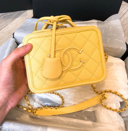 chanel相機包多少錢？香奈兒相機包價格