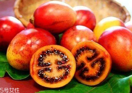 樹番茄怎么種 樹番茄的生長(zhǎng)條件 樹番茄怎么種 樹番茄的生長(zhǎng)條件