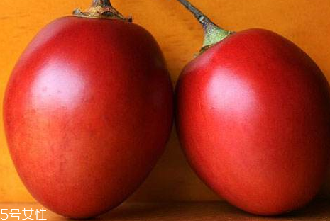 樹番茄怎么種 樹番茄的生長(zhǎng)條件 樹番茄怎么種 樹番茄的生長(zhǎng)條件