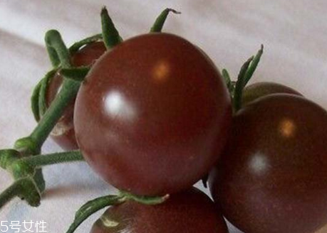 紫番茄是轉(zhuǎn)基因的嗎 紫番茄是怎么來的 紫番茄是轉(zhuǎn)基因的嗎 紫番茄是怎么來的