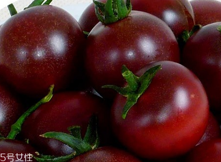 紫番茄能吃嗎 紫番茄為什么是紫色 紫番茄能吃嗎 紫番茄為什么是紫色
