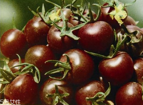 紫番茄能吃嗎 紫番茄為什么是紫色 紫番茄能吃嗎 紫番茄為什么是紫色