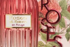 歐舒丹玫瑰蜜語系列多少錢？哪里買？