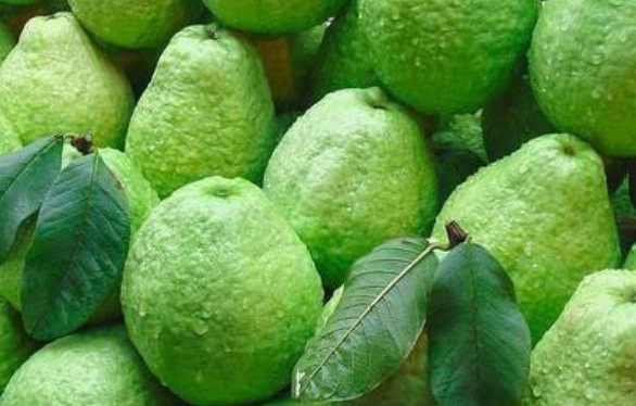 低糖水果有哪些？十大低糖水果排行榜