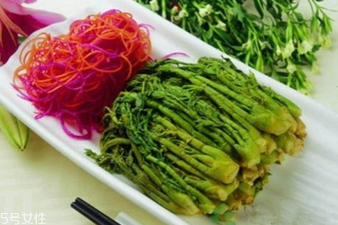 刺老芽什么時(shí)候采摘 刺老芽的采摘方法 刺老芽什么時(shí)候采摘 刺老芽的采摘方法