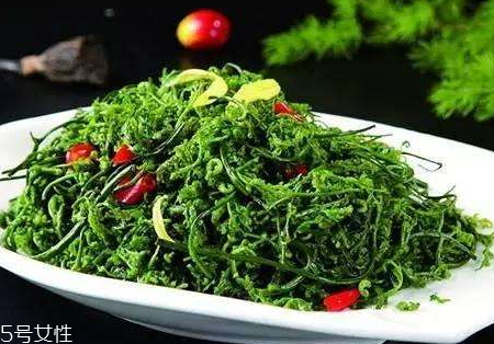 菊花腦什么時候種 菊花腦什么時候采收 菊花腦什么時候種 菊花腦什么時候采收