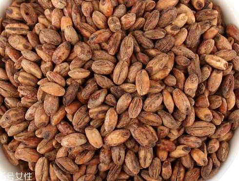 青稞茶怎么做好吃？青稞茶做法