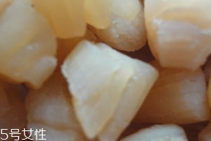 干貝是海鮮嗎？干貝是什么動(dòng)物做的？