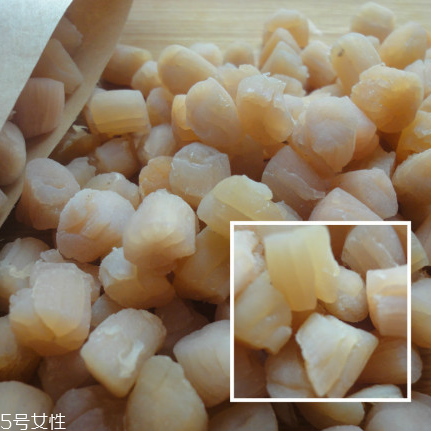 干貝是海鮮嗎？干貝是什么動物做的？