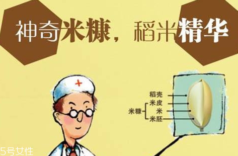 刺五加和谷維素能一起吃嗎 刺五加和谷維素的功效 刺五加和谷維素能一起吃嗎 刺五加和谷維素的功效